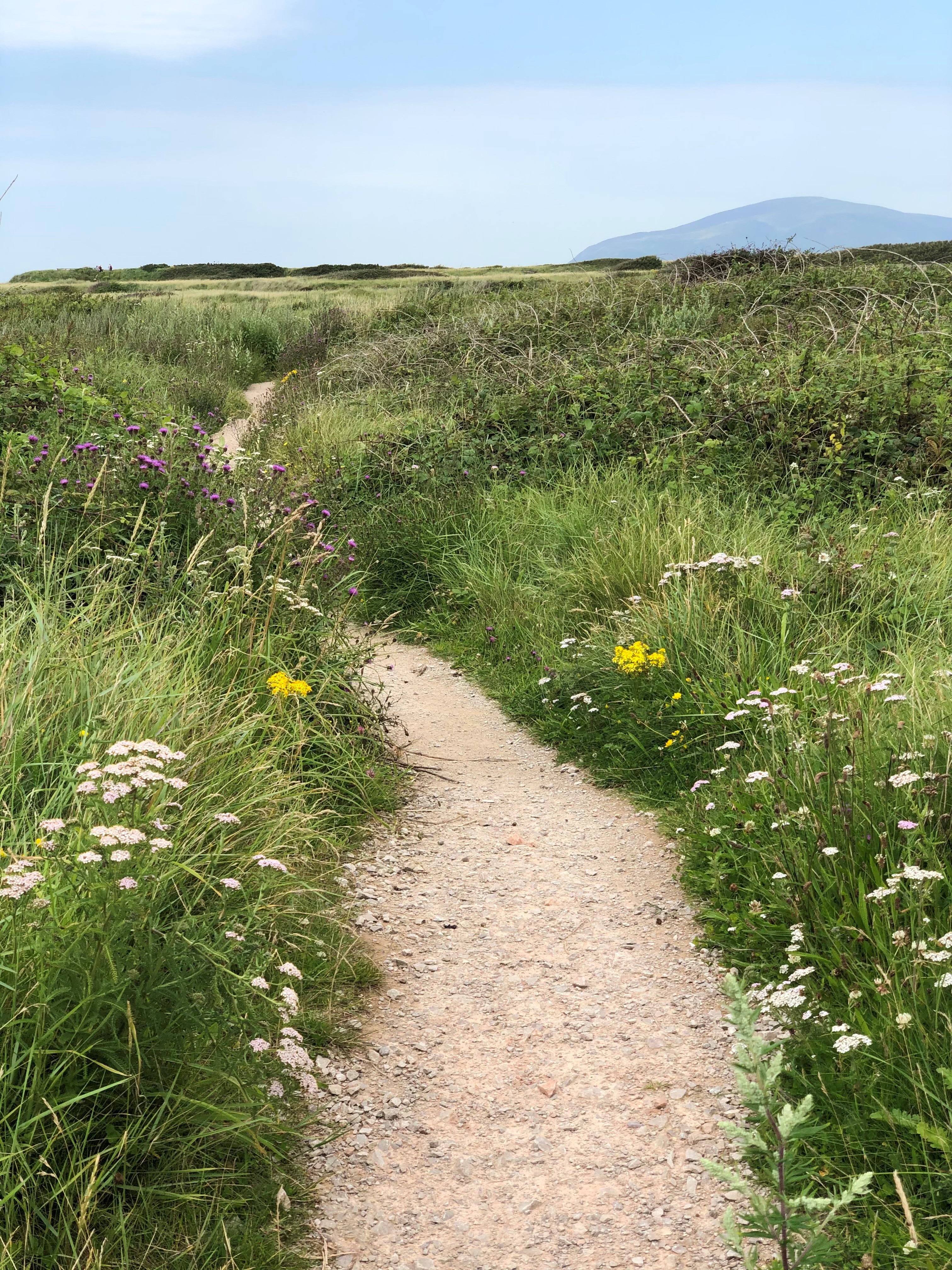 Beach path.jpg Beach path.jpg